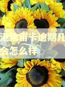 香港信用卡逾期几个月会怎么样