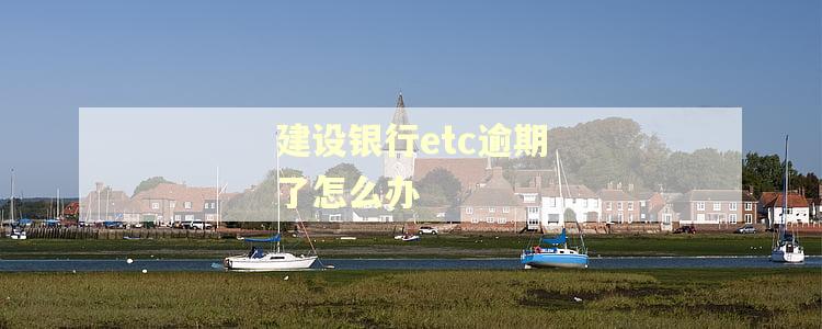 建设银行etc逾期了怎么办