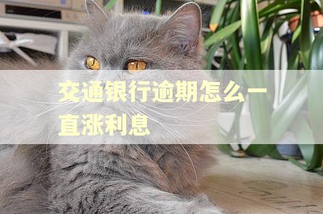 交通银行逾期怎么一直涨利息