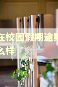我在校园假期逾期会怎么样