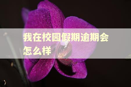 我在校园假期逾期会怎么样
