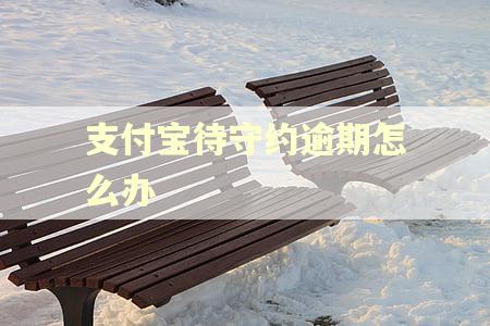 支付宝待守约逾期怎么办 支付宝待守约逾期怎么办