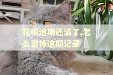 花呗逾期还清了,怎么消掉逾期记录