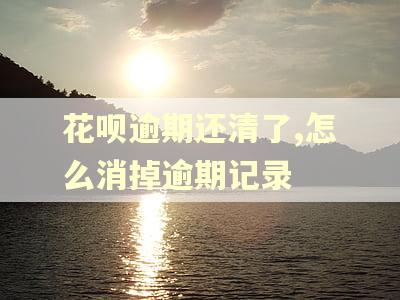 花呗逾期还清了,怎么消掉逾期记录