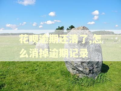 花呗逾期还清了,怎么消掉逾期记录