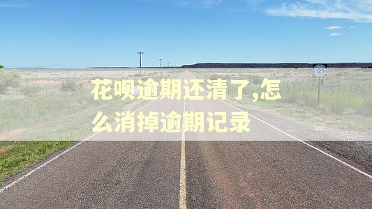 花呗逾期还清了,怎么消掉逾期记录
