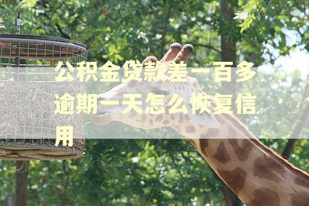 公积金贷款差一百多逾期一天怎么恢复信用