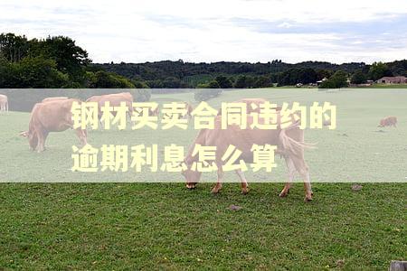 钢材买卖合同违约的逾期利息怎么算