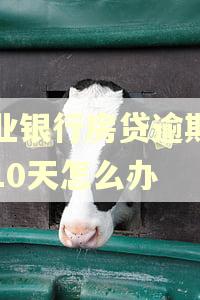 兴业银行房贷逾期超过10天怎么办