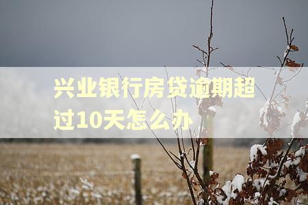 兴业银行房贷逾期超过10天怎么办