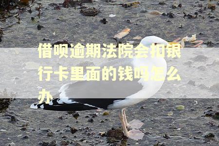 借呗逾期法院会扣银行卡里面的钱吗怎么办