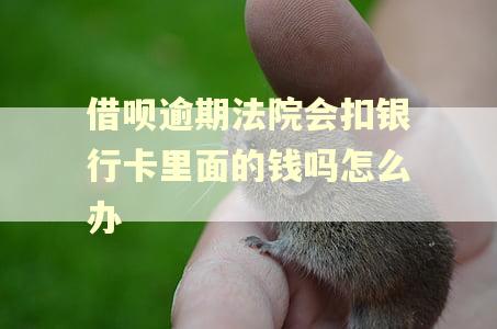 借呗逾期法院会扣银行卡里面的钱吗怎么办 借呗逾期法院会扣银行卡里面的钱吗怎么办