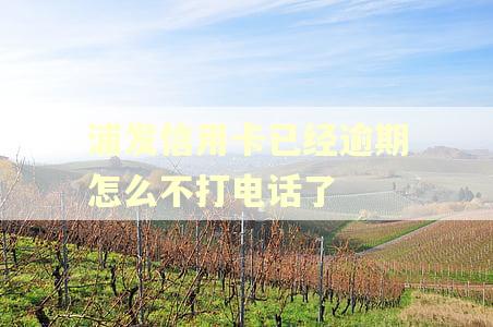 浦发信用卡已经逾期怎么不打电话了