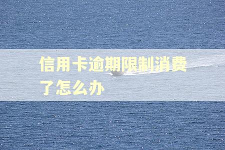 信用卡逾期限制消费了怎么办