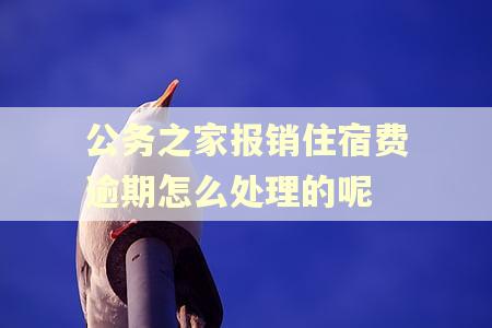 公务之家报销住宿费逾期怎么处理的呢