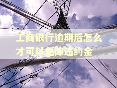 工商银行逾期后怎么才可以免除违约金