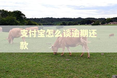 支付宝怎么谈逾期还款