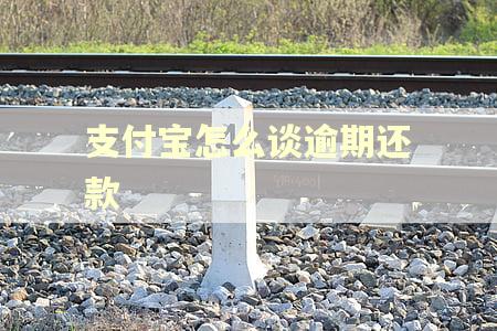 支付宝怎么谈逾期还款