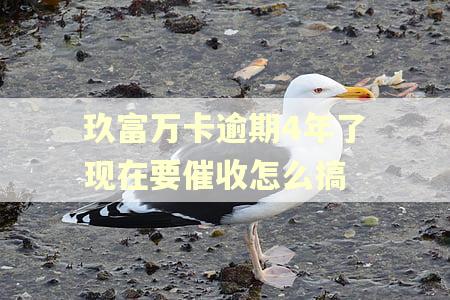 玖富万卡逾期4年了现在要催收怎么搞