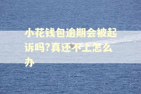 小花钱包逾期会被起诉吗?真还不上怎么办