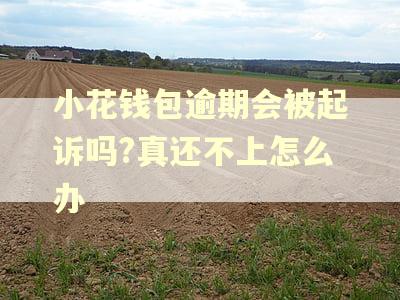 小花钱包逾期会被起诉吗?真还不上怎么办