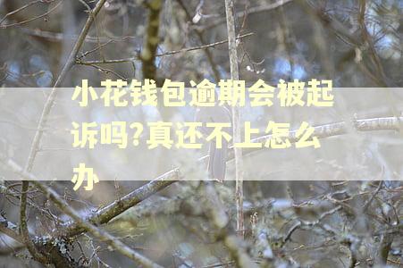 小花钱包逾期会被起诉吗?真还不上怎么办