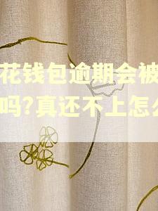 小花钱包逾期会被起诉吗?真还不上怎么办