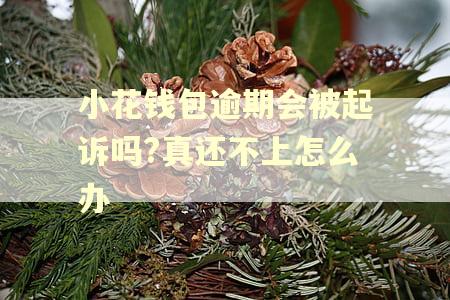 小花钱包逾期会被起诉吗?真还不上怎么办 小花钱包逾期会被起诉吗?真还不上怎么办