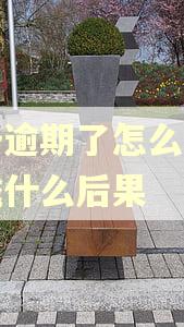 白条逾期了怎么办会造成什么后果