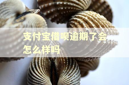 支付宝借呗逾期了会怎么样吗