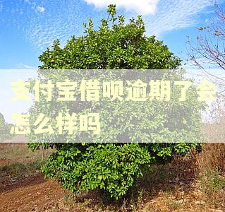 支付宝借呗逾期了会怎么样吗