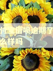 支付宝借呗逾期了会怎么样吗 支付宝借呗逾期了会怎么样吗