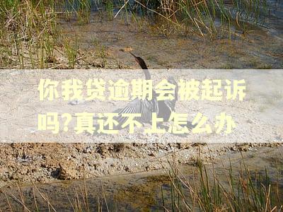 你我贷逾期会被起诉吗?真还不上怎么办