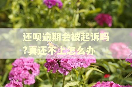 还呗逾期会被起诉吗?真还不上怎么办
