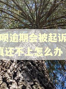 还呗逾期会被起诉吗?真还不上怎么办