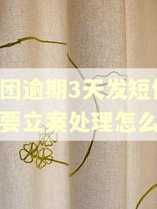 美团逾期3天发短信说要立案处理怎么办