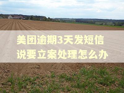 美团逾期3天发短信说要立案处理怎么办
