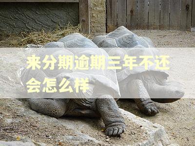 来分期逾期三年不还会怎么样 来分期逾期三年不还会怎么样