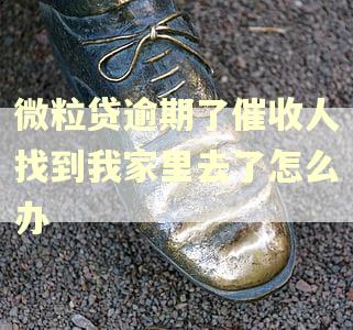 微粒贷逾期了催收人找到我家里去了怎么办