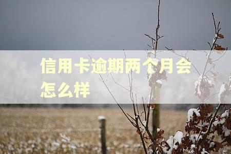 信用卡逾期两个月会怎么样