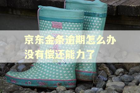 京东金条逾期怎么办没有偿还能力了