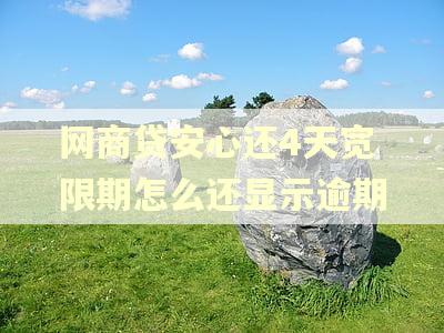 网商贷安心还4天宽限期怎么还显示逾期