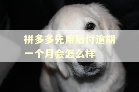 拼多多先用后付逾期一个月会怎么样