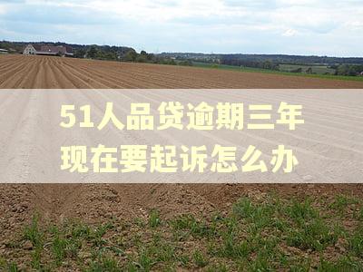 51人品贷逾期三年现在要起诉怎么办