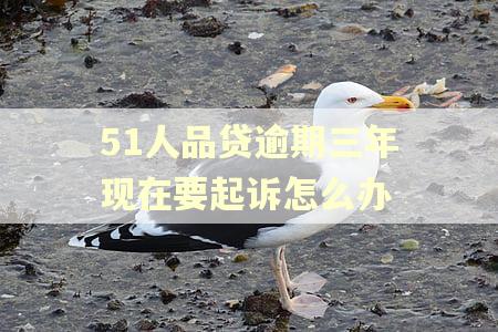 51人品贷逾期三年现在要起诉怎么办