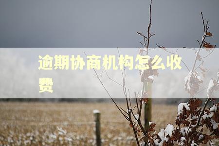 逾期协商机构怎么收费