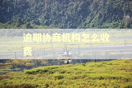 逾期协商机构怎么收费