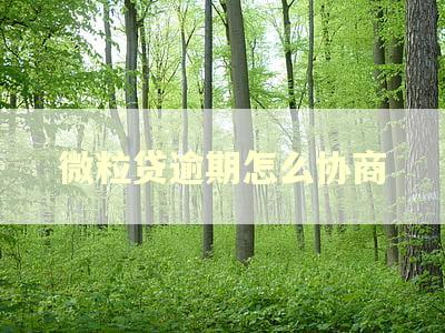 微粒贷逾期怎么协商