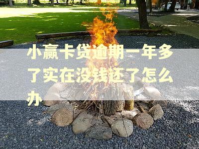 小赢卡贷逾期一年多了实在没钱还了怎么办