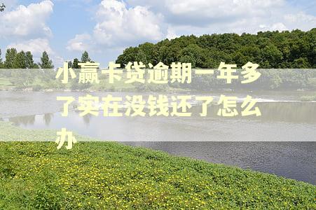 小赢卡贷逾期一年多了实在没钱还了怎么办